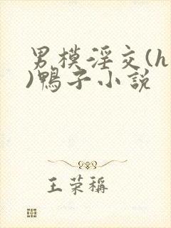 男模淫交(h高)鸭子小说