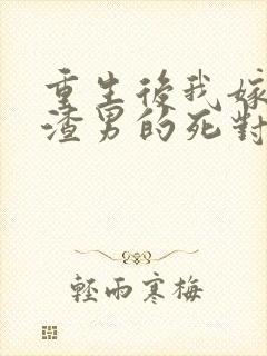 重生后我嫁给了渣男的死对头好看吗