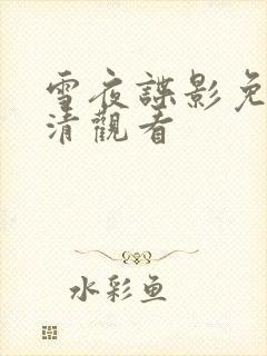 雪夜谍影免费高清观看