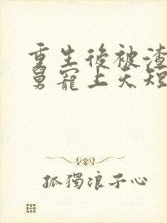 重生后被渣男舅舅宠上天短剧全集