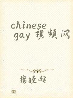 chinese gay 视频网站