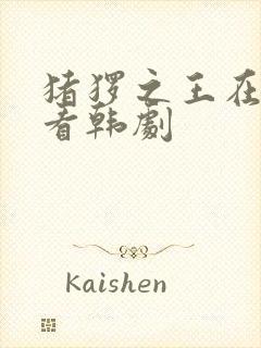 猪猡之王在线观看韩剧