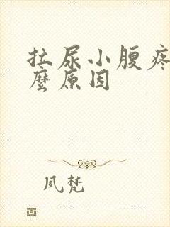 拉尿小腹疼痛什么原因