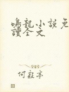 鸣龙小说免费阅读全文