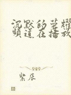 沉默的荣耀哪个频道在播放啊封面