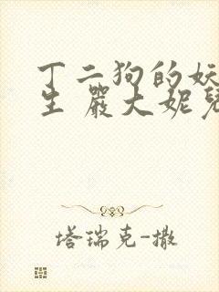 丁二狗的妖孽人生 严大妮儿 小说