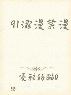 91涩漫禁漫