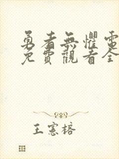 勇者无惧电视剧免费观看全集高清封面