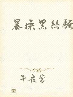 暴操黑丝骚货封面