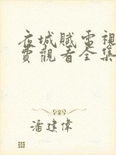 夜城赋电视剧免费观看全集完整版