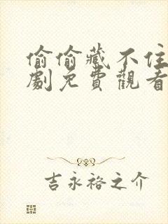 偷偷藏不住电视剧免费观看全集完整