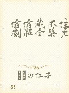 偷偷藏不住电视剧版全集免费