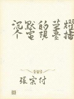 沉默的荣耀在哪个电视台播出