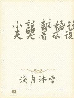 小说 离婚后前夫哭着求复婚