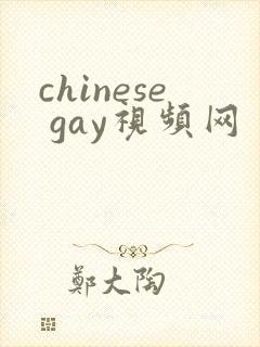chinese gay视频网