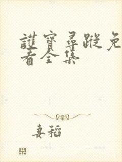 护宝寻踪免费观看全集封面