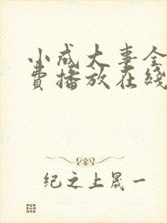 小成大事全集免费播放在线观看