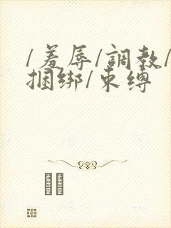 /羞辱/调教/捆绑/束缚