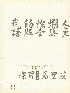 我的灿烂人生国语版全集免费观看