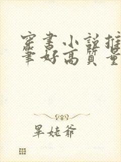 穿书小说推荐文笔好高质量封面