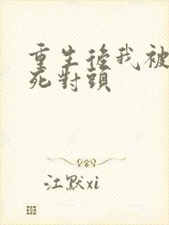 重生后我被渣男死对头