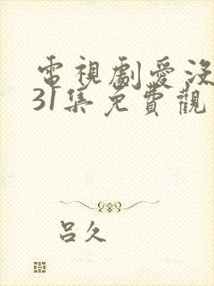 电视剧爱没有错31集免费观看