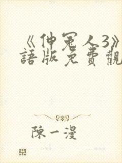 《伸冤人3》国语版免费观看