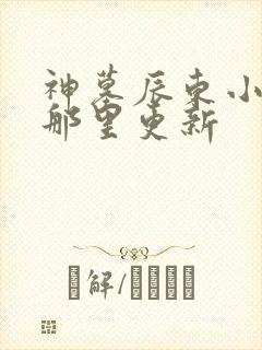 神墓辰东小说在那里更新