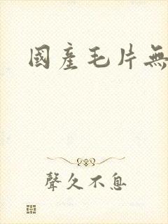 国产毛片无遮挡