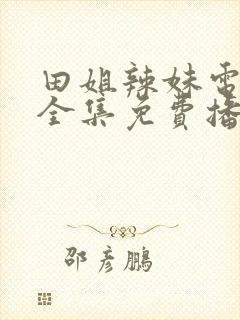 田姐辣妹电视剧全集免费播放高清封面