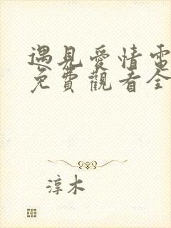 遇见爱情电视剧免费观看全集高清