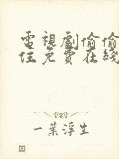 电视剧偷偷藏不住免费在线观看