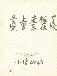 爱上老板了韩剧双男主在线观看封面