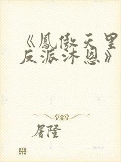 《凤傲天里黄毛反派沐恩》封面