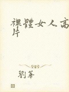 裸体女人高清毛片