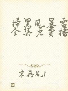 扫黑风暴电视剧全集免费播放