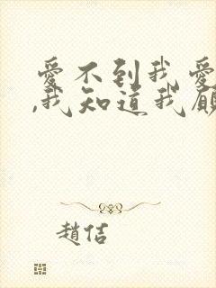 爱不到我爱的人,我知道我愿意再等