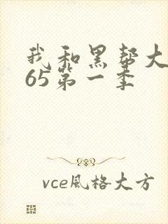 我和黑帮大佬365第一季