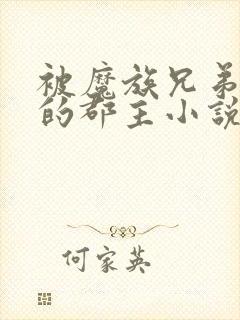 被魔族兄弟囚禁的郡主小说免费阅读封面