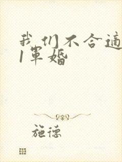 我们不合适1v1军婚