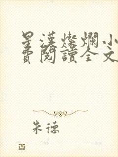 星汉灿烂小说免费阅读全文封面