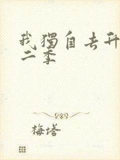 我独自去升级第二季