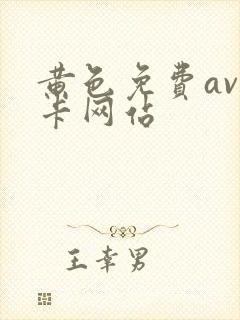 黄色免费av不卡网站