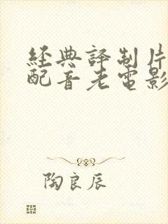 经典译制片国语配音老电影封面