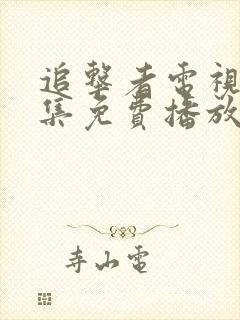 追击者电视剧全集免费播放