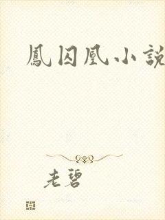 凤囚凰小说