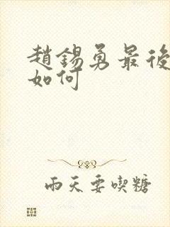 赵锡勇最后结局如何