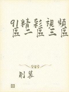 91精彩视频一区二区三区