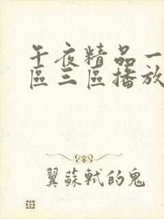 午夜精品一区二区三区播放