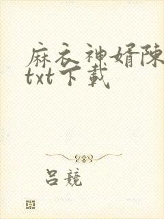 麻衣神婿陈黄皮txt下载